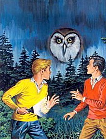 Hardy Boys Cover Art