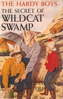 The Secret Of Wildcat Swamp Cover Art