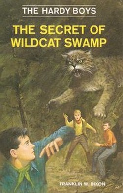 The Secret Of Wildcat Swamp Cover Art