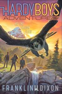 Hardy Boys Adventures #24