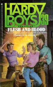 Hardy Boys Case Files Cover Art