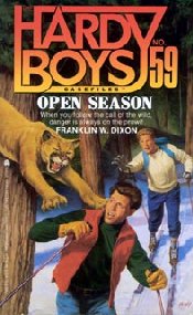 Hardy Boys Case Files Cover Art