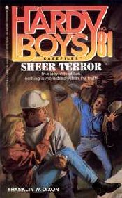 Hardy Boys Case Files Cover Art