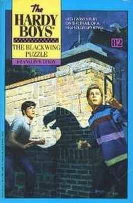 Hardy Boys Digest Cover Art