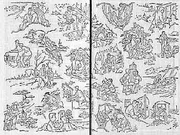 White Multi-Scene Endpapers