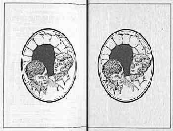 Cameo Endpapers